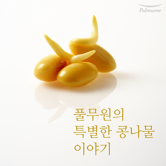 풀무원 카드뉴스 이미지